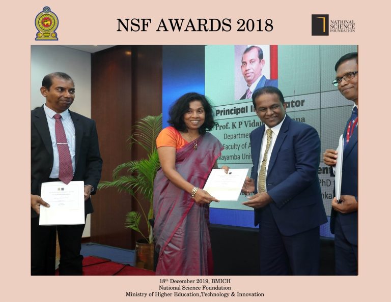NSF Research Award-2018-1